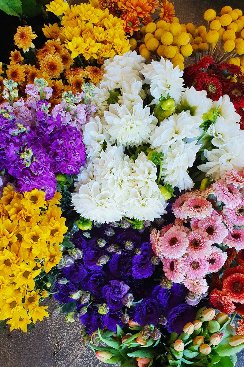 POETRY IN FLOWERS CANBERRA FLORIST Poetry in Flowers